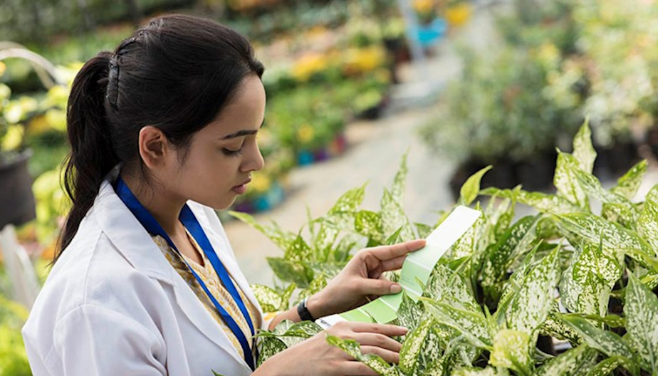 Faculty of Agriculture and Natural Sciences